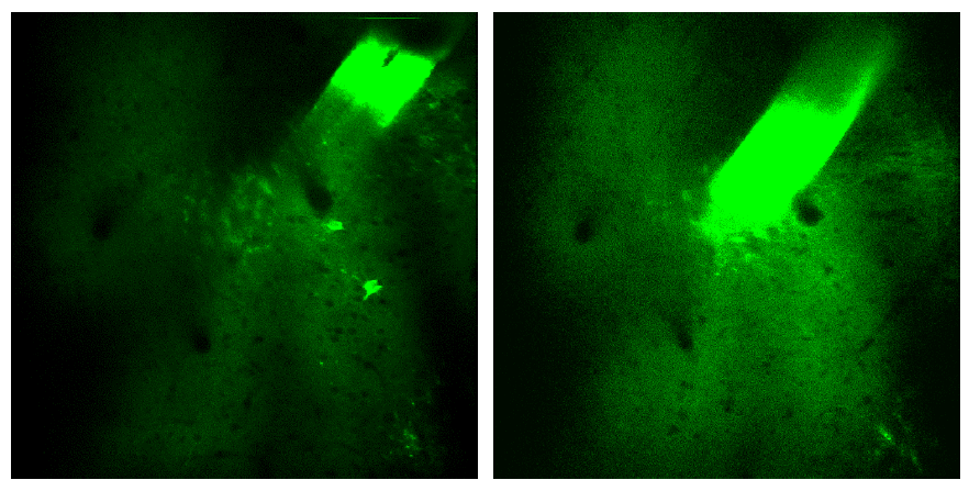 zöld absztrakt kép